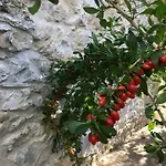 Dalmatinska Kuca Terace *