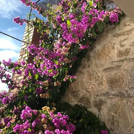 Dalmatinska Kuca Terace Holiday home
