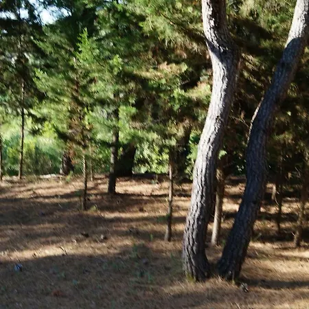 Nyaraló Dalmatinska Kuca Terace *