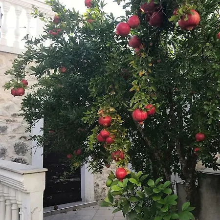Dalmatinska Kuca Terace Skradin