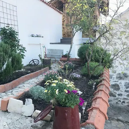 Dalmatinska Kuca Terace